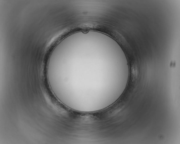 X0000112860396200909041558