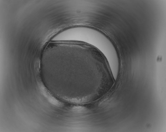 X0000112860397200909041558