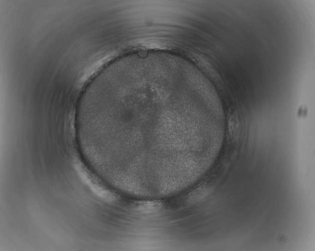 X0000112860398200909041558