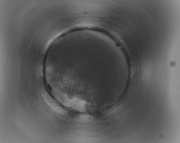 X0000112860399200909041558