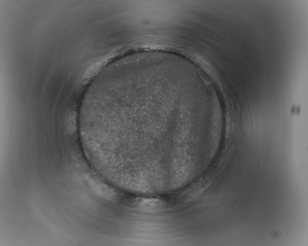 X0000112860401200909041558