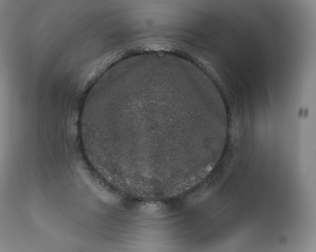 X0000112860402200909041558