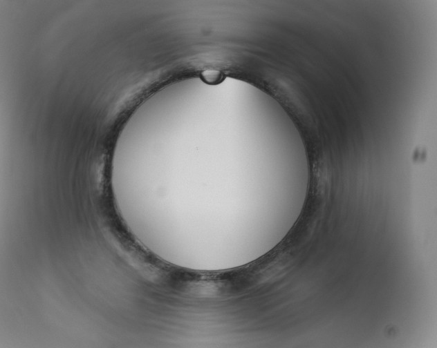 X0000112860404200909041558