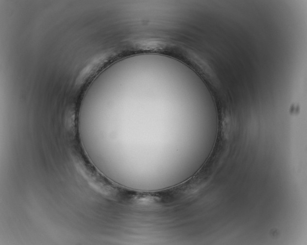 X0000112860407200909041558