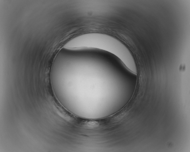 X0000112860409200909041558