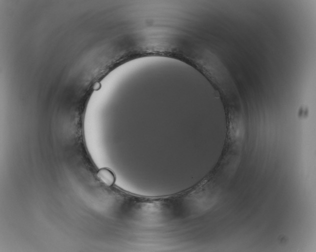 X0000112860411200909041558