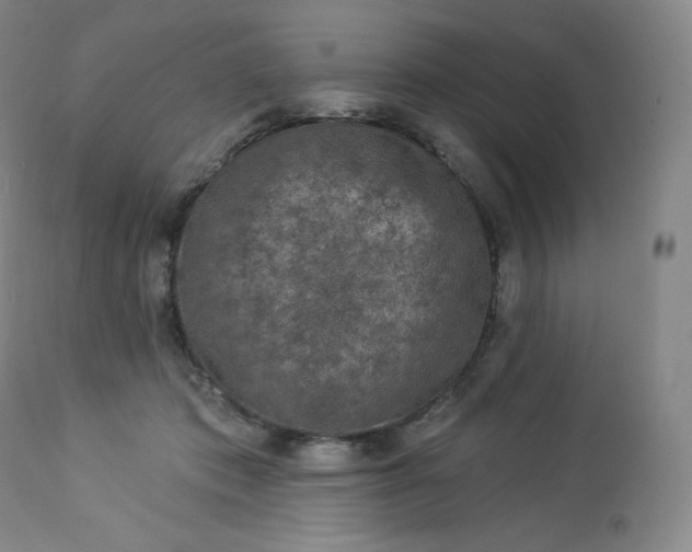 X0000112860413200909041558