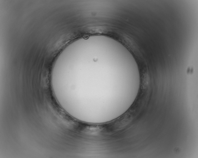 X0000112860414200909041558