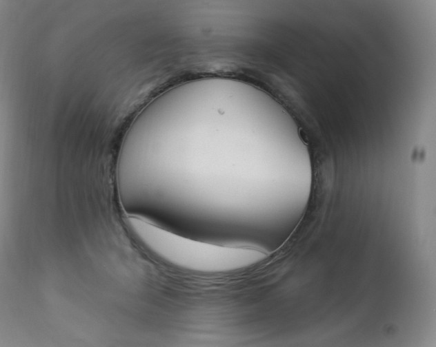 X0000112860415200909041558