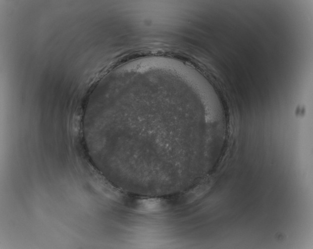 X0000112860417200909041558