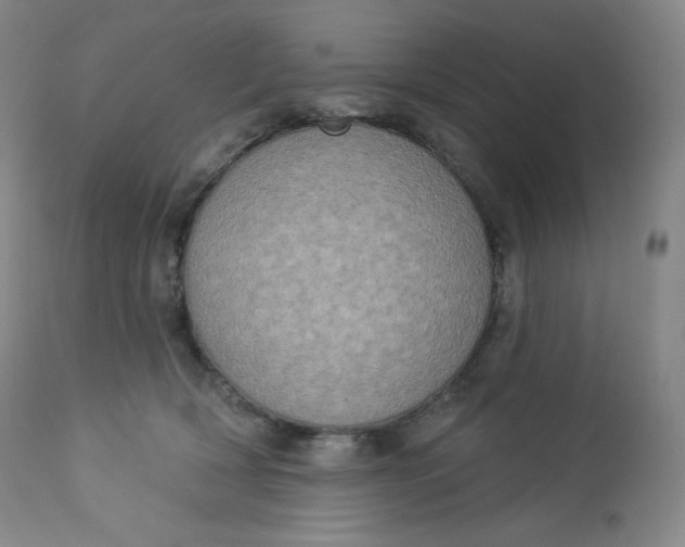 X0000112860418200909041558