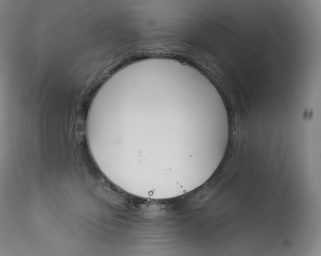 X0000112860419200909041558