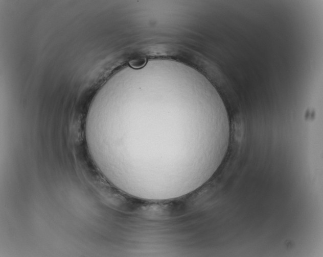 X0000112860422200909041558