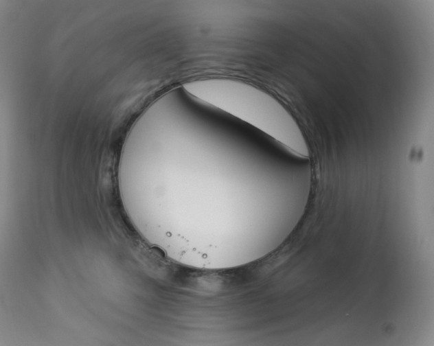 X0000112860423200909041558