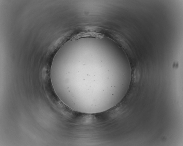 X0000112860424200909041558