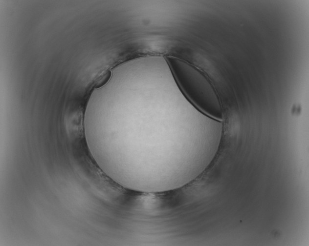 X0000112860425200909041558