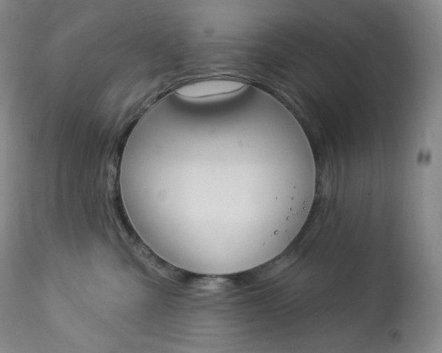 X0000112860427200909041558