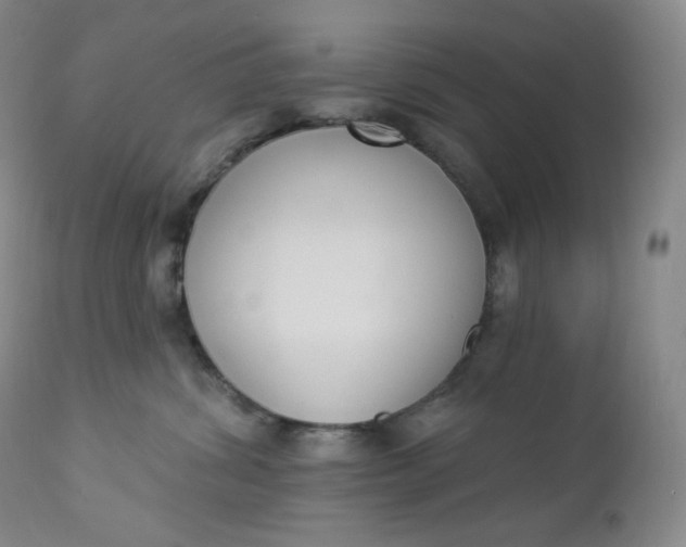 X0000112860428200909041558