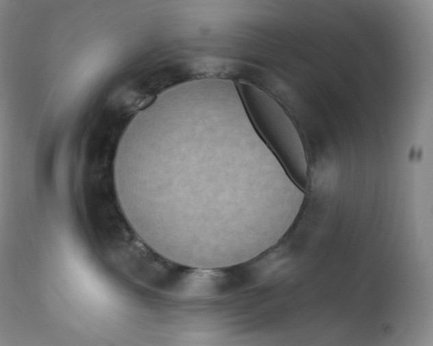 X0000112860429200909041558