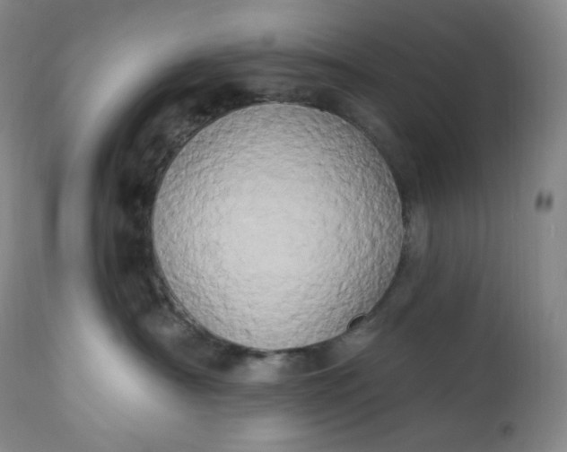 X0000112860430200909041558