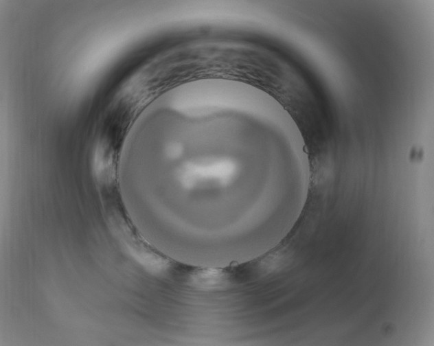 X0000112860431200909041558