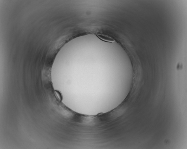 X0000112860432200909041558