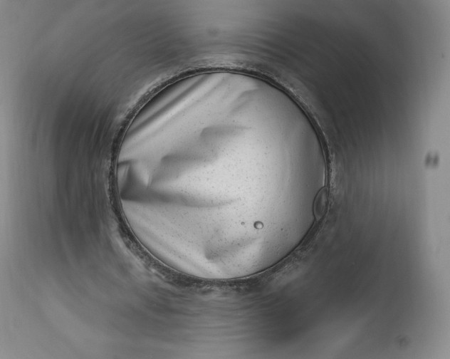 X0000112860434200909041557