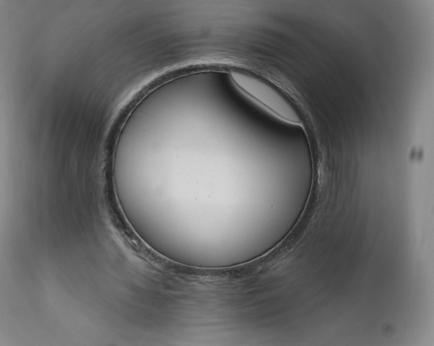 X0000112860436200909041557