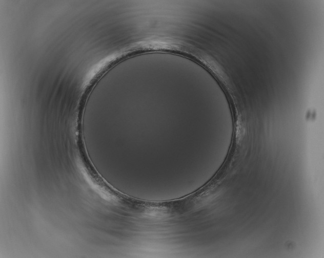 X0000112860438200909041557