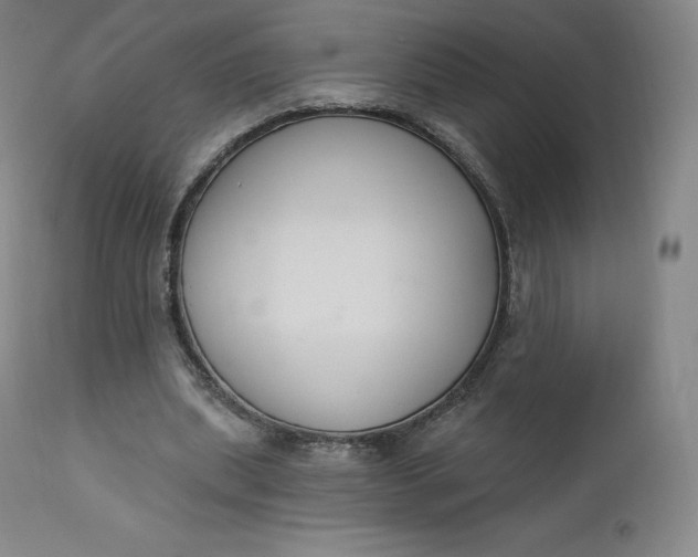 X0000112860439200909041557