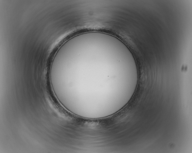 X0000112860440200909041557