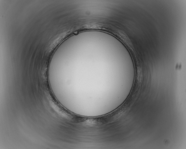 X0000112860441200909041557