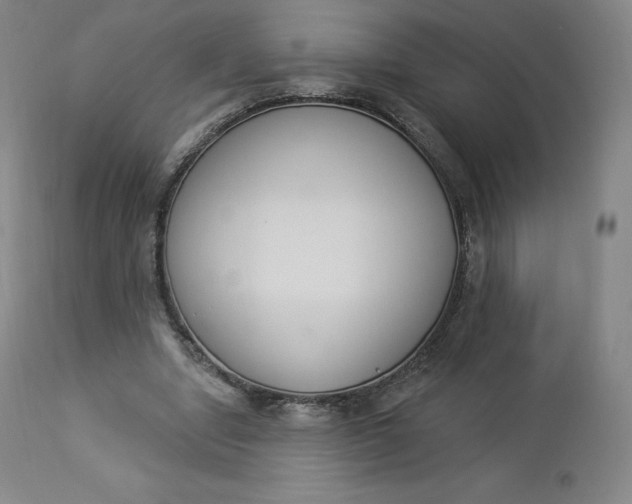 X0000112860442200909041557