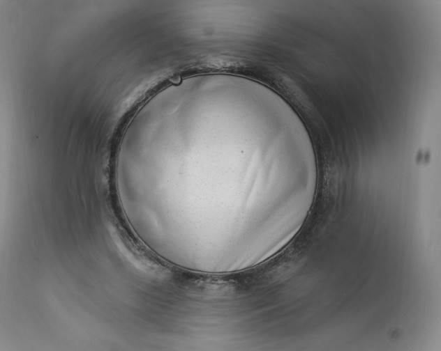 X0000112860443200909041557