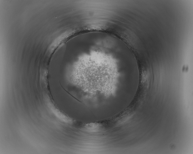 X0000112860444200909041557