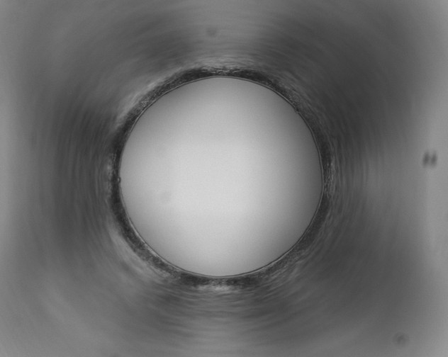 X0000112860448200909041557