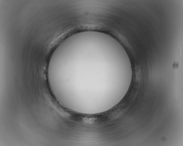 X0000112860450200909041557