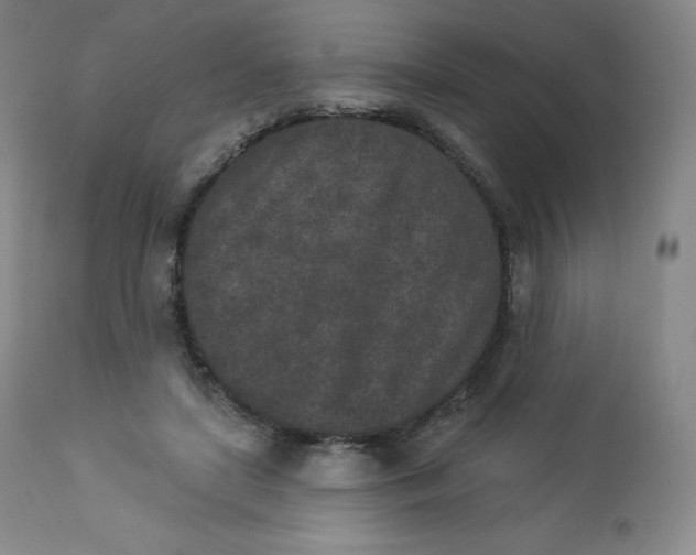 X0000112860451200909041557