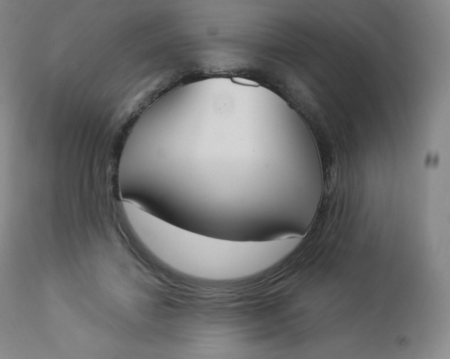 X0000112860452200909041557