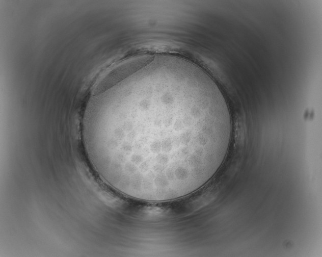 X0000112860453200909041557