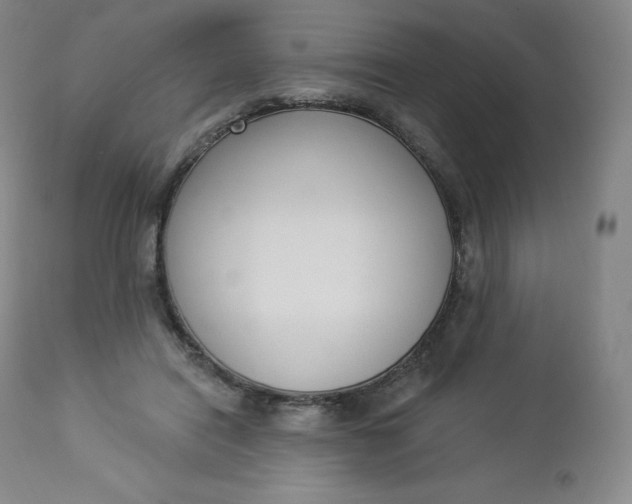 X0000112860454200909041557