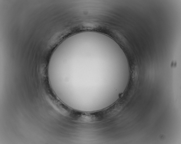 X0000112860455200909041557