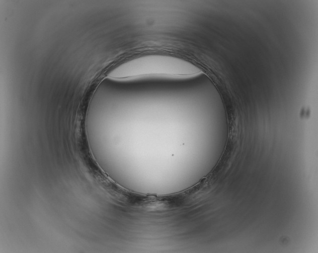 X0000112860456200909041557