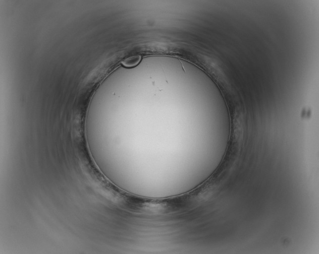 X0000112860457200909041557