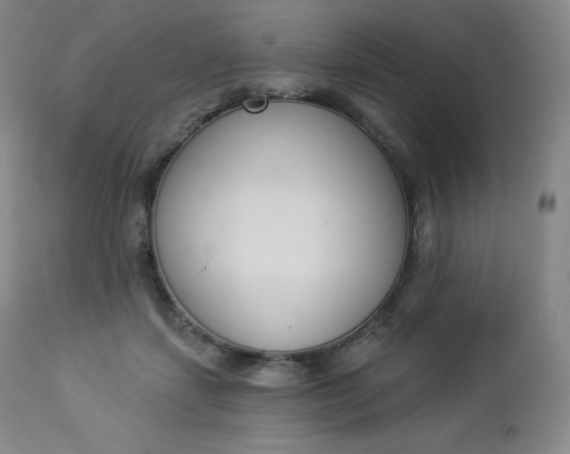 X0000112860459200909041557