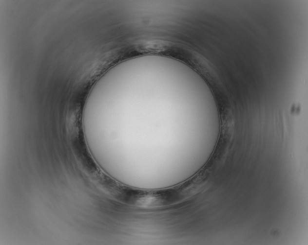 X0000112860460200909041557