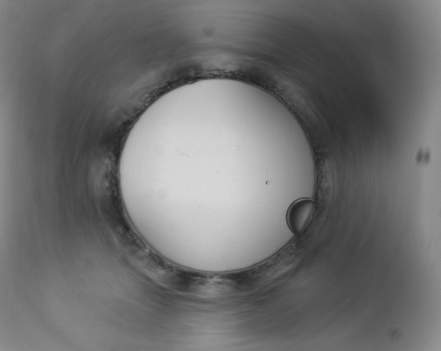 X0000112860463200909041557