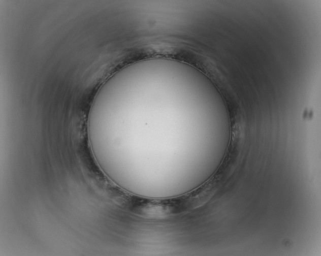 X0000112860464200909041557