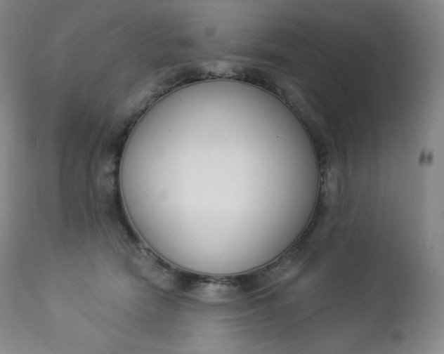 X0000112860466200909041557