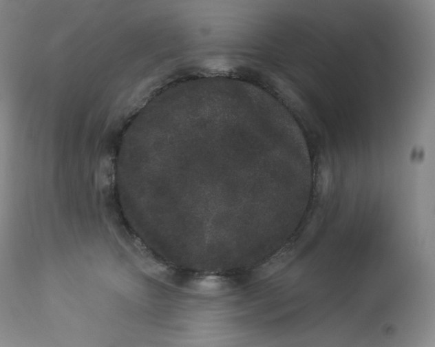 X0000112860467200909041558